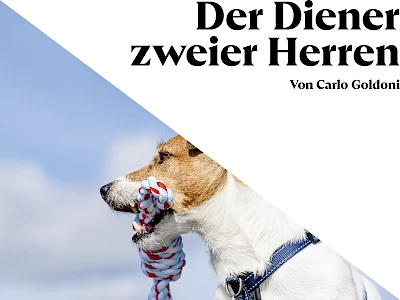 Diener zweier Herren